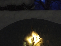 73737CrLeNrUsm - Bruce the Spruce, alight and under snow   Each New Day A Miracle  [  Understanding the Bible   |   Poetry   |   Story  ]- by Pete Rhebergen